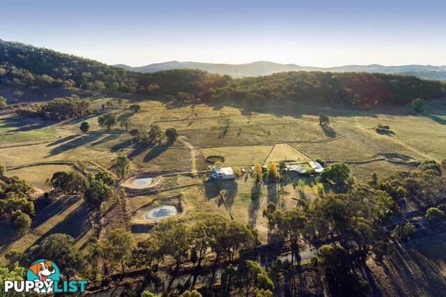 255 Lower Piambong Road Mudgee NSW 2850