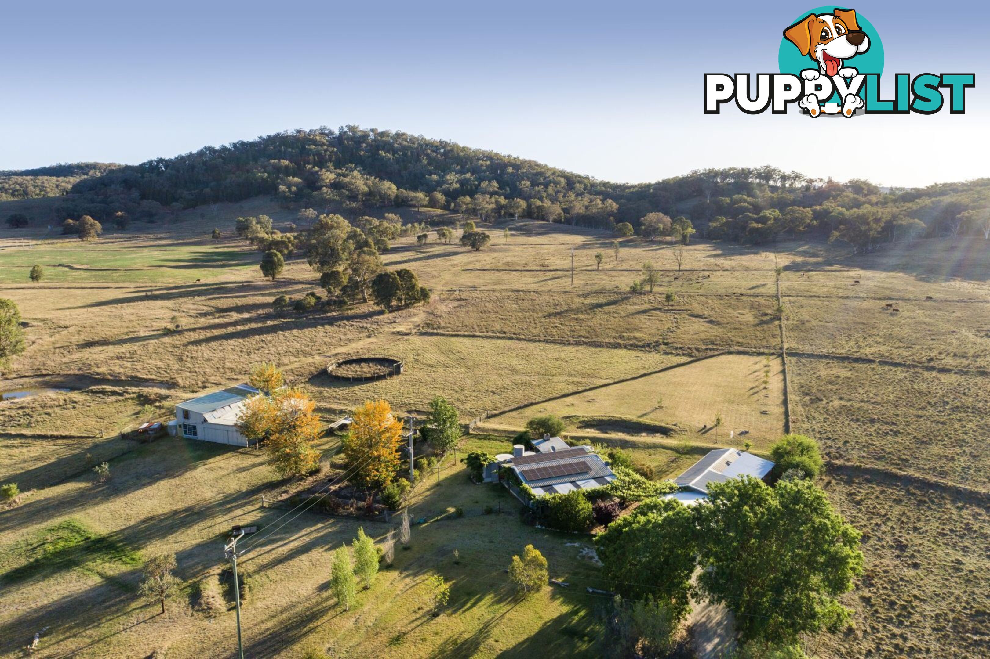 255 Lower Piambong Road Mudgee NSW 2850