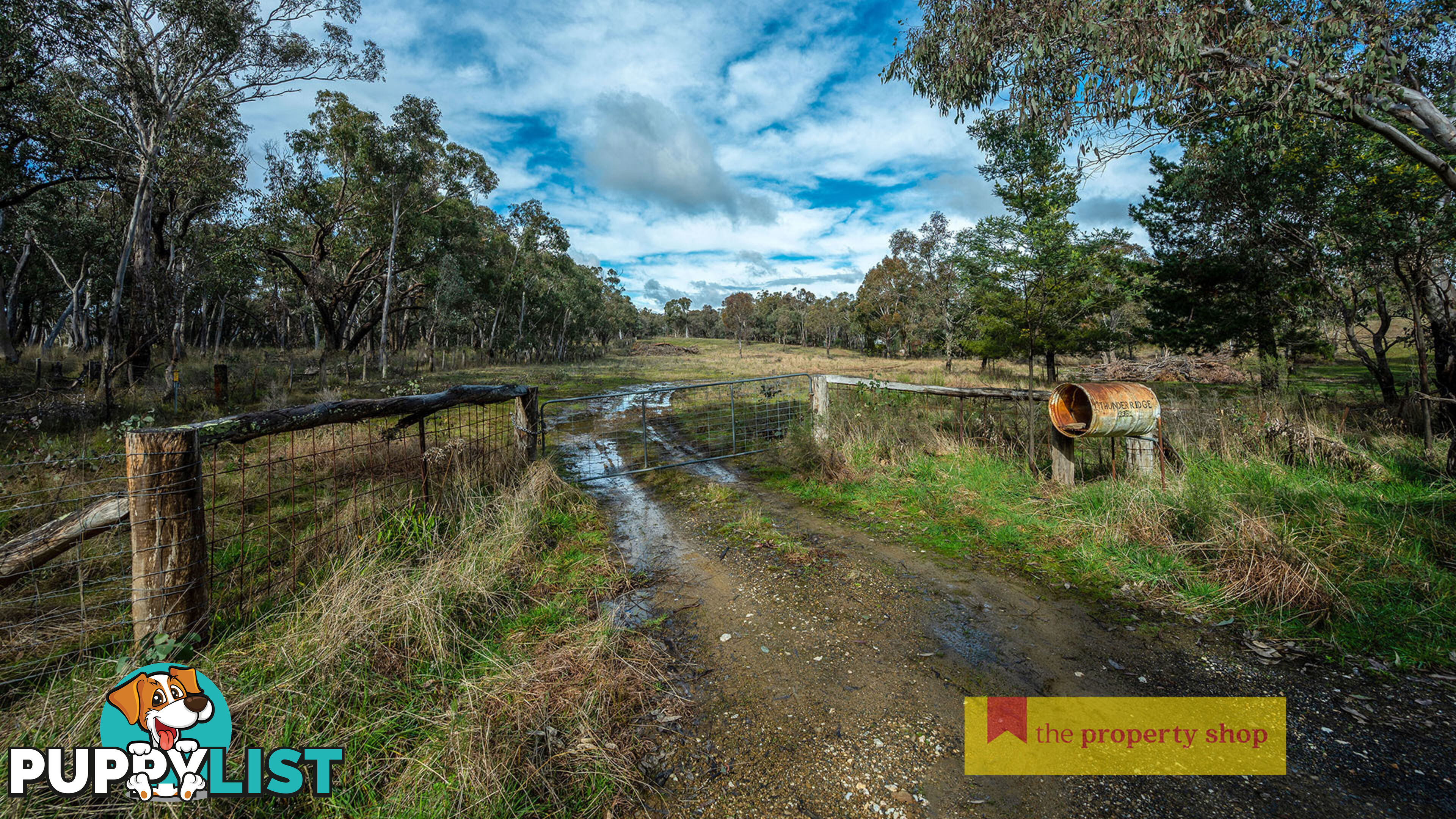 Thunder Ridge 3361 Hill End Road Mudgee NSW 2850