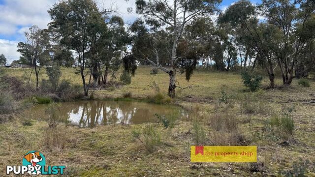 Thunder Ridge 3361 Hill End Road Mudgee NSW 2850