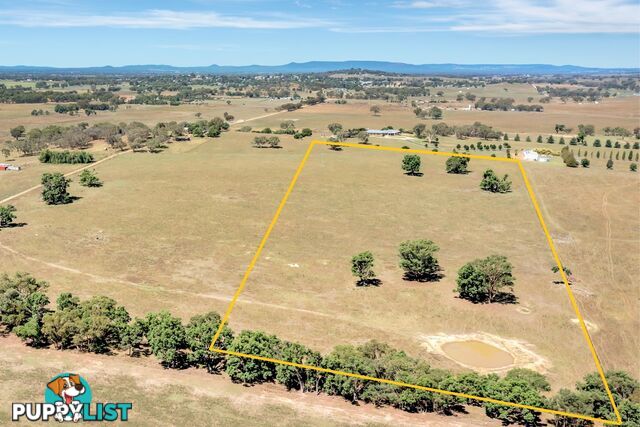 Lot 2 271 Perseverance Lane Gulgong NSW 2852