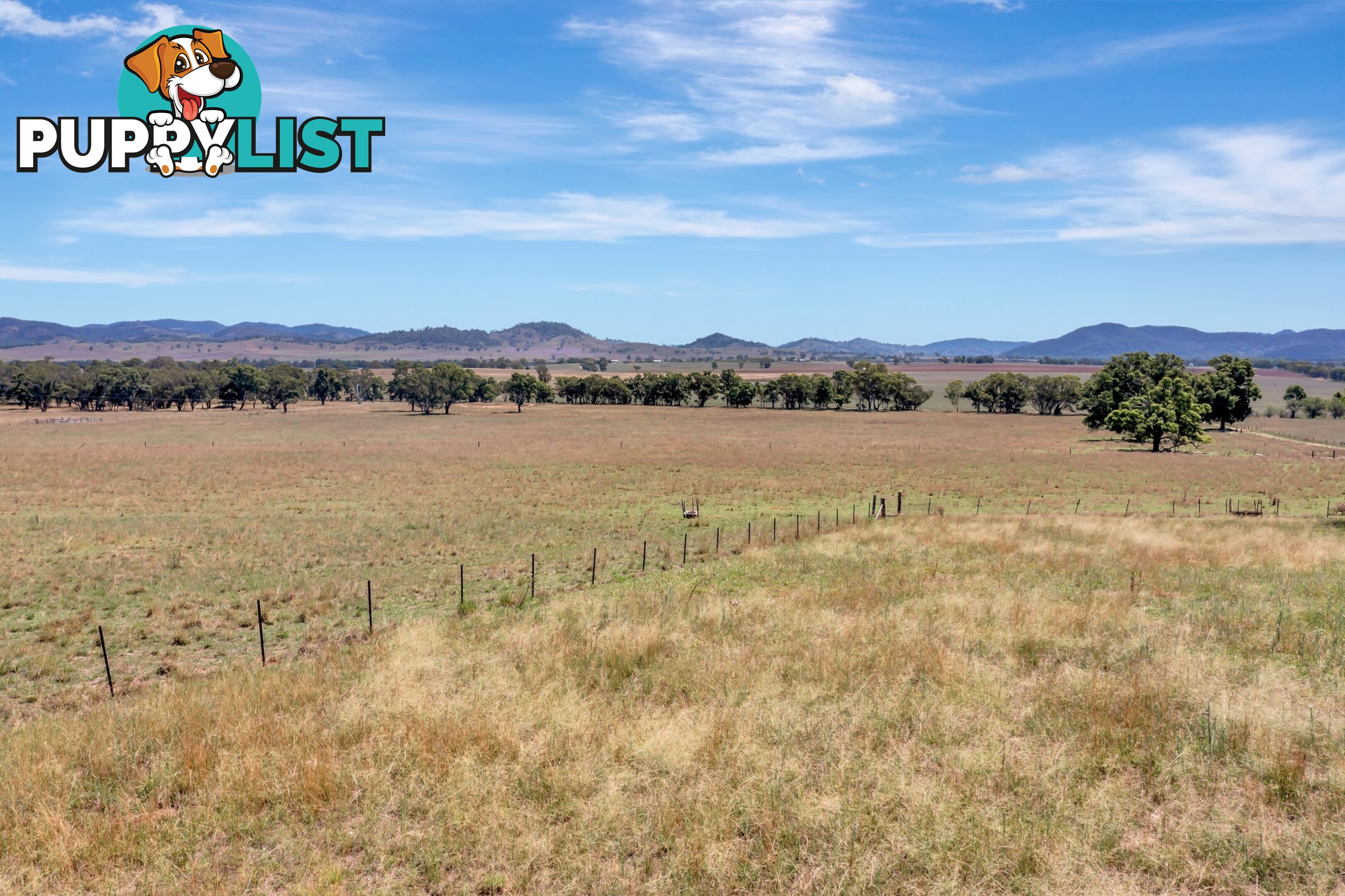 Lot 2 271 Perseverance Lane Gulgong NSW 2852