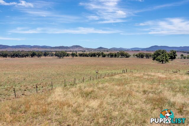 Lot 2 271 Perseverance Lane Gulgong NSW 2852