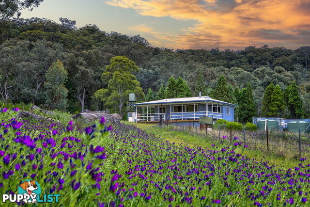 Kains Flat NSW 2850