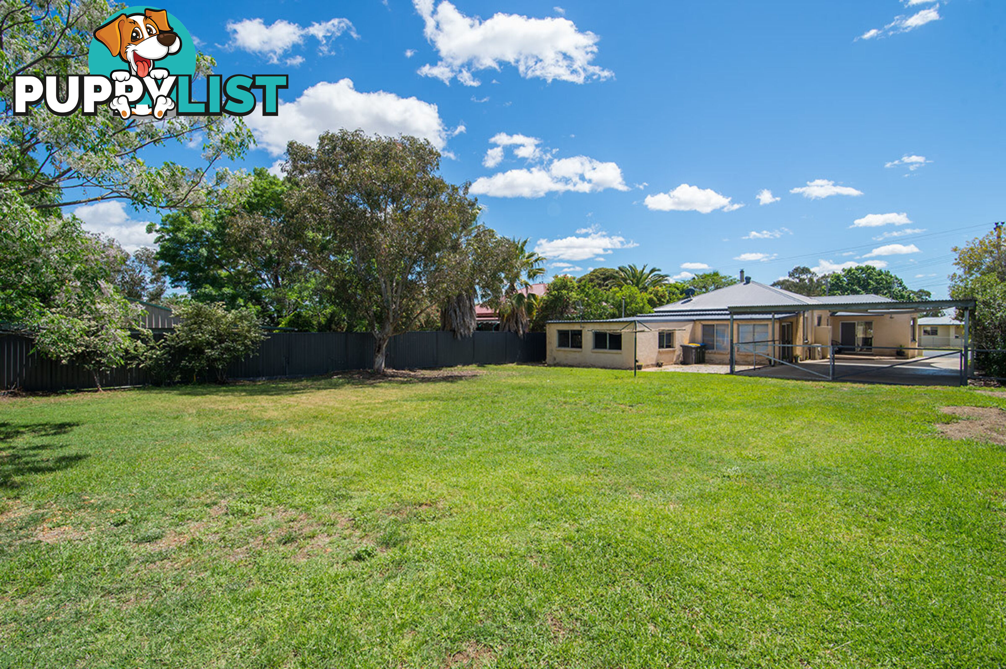 169 Gladstone Street Mudgee NSW 2850