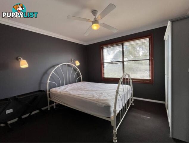 16A Buchanan Street Kandos NSW 2848