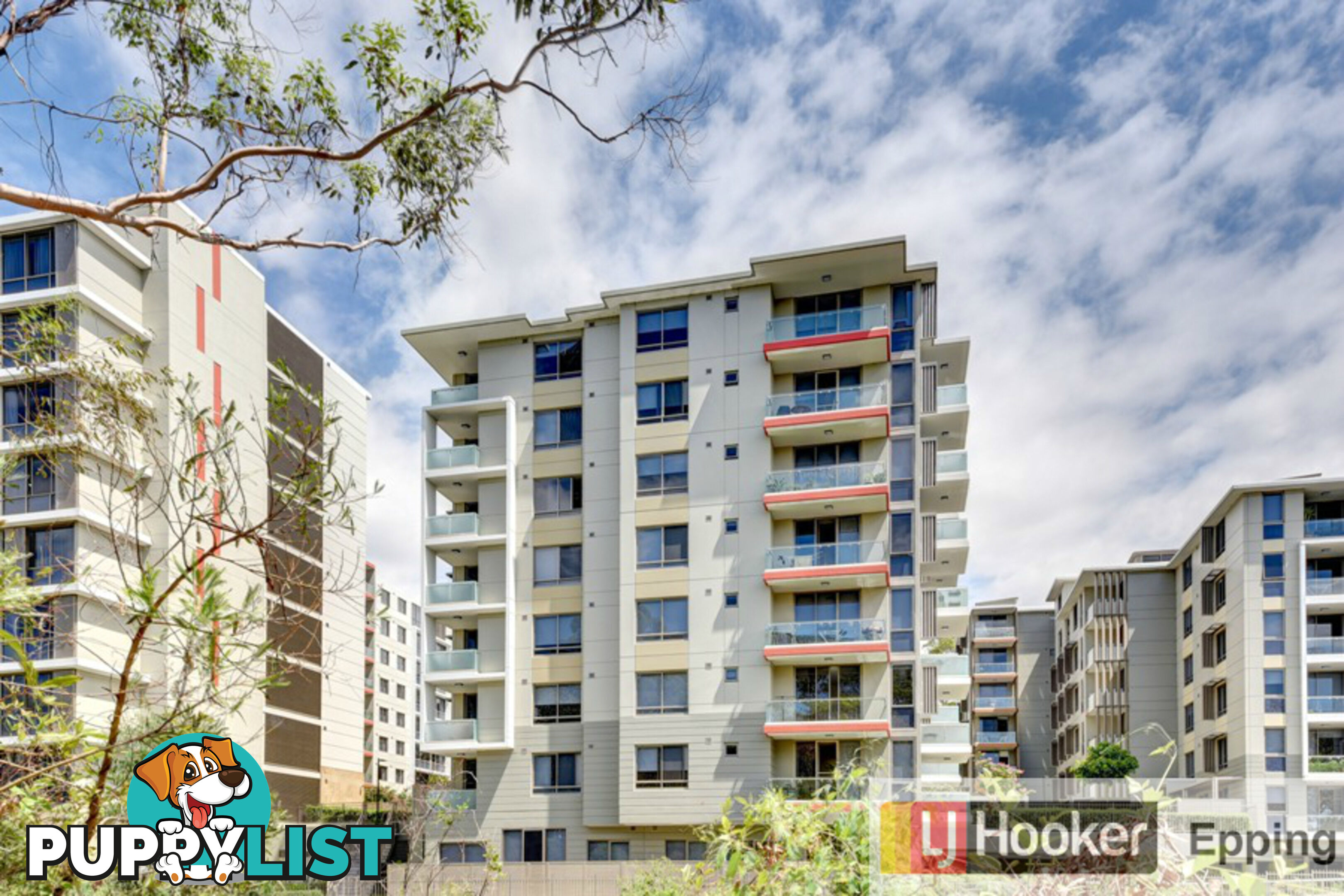 716/5 Alma Road MACQUARIE PARK NSW 2113