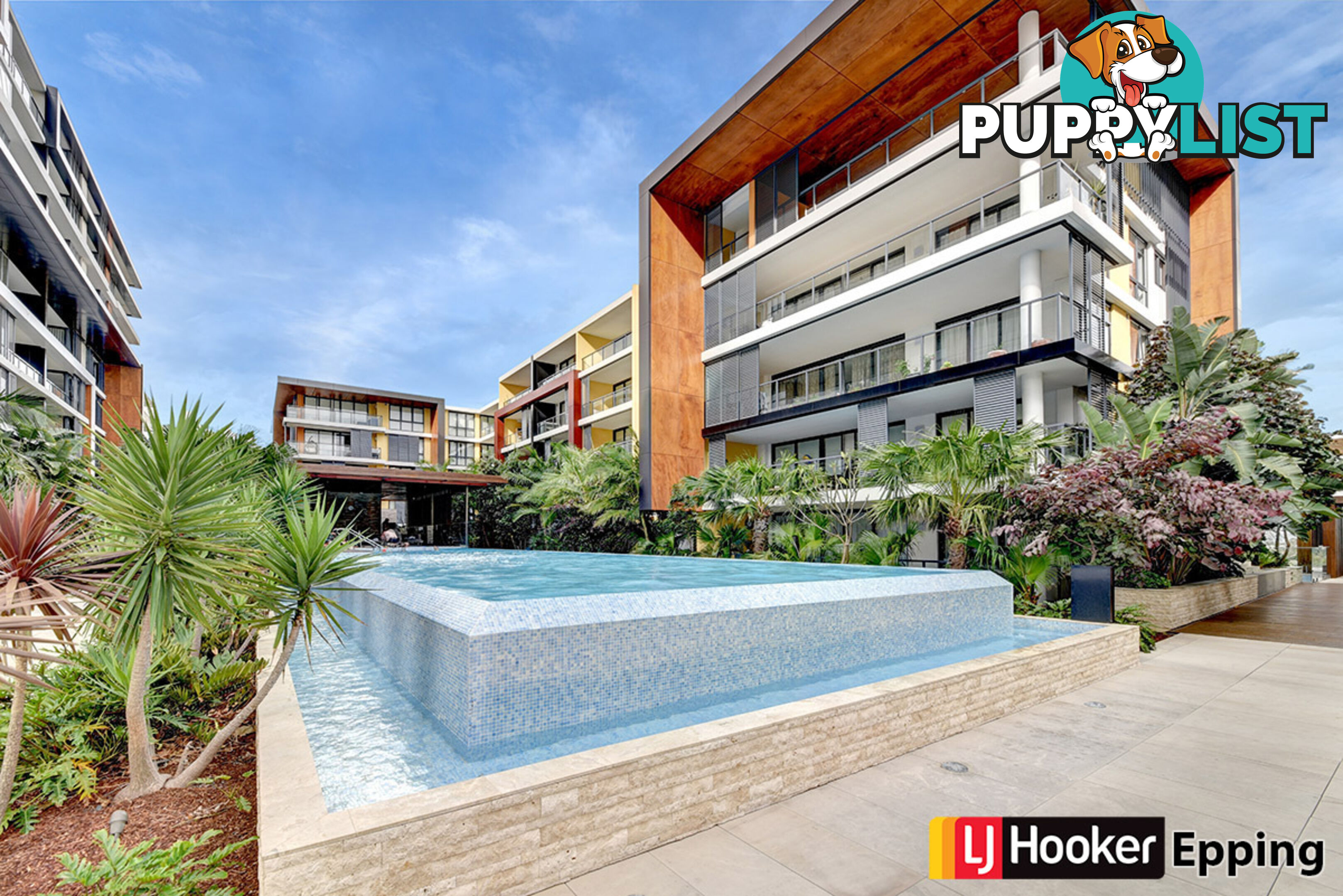 C1111/5 Pope Street RYDE NSW 2112