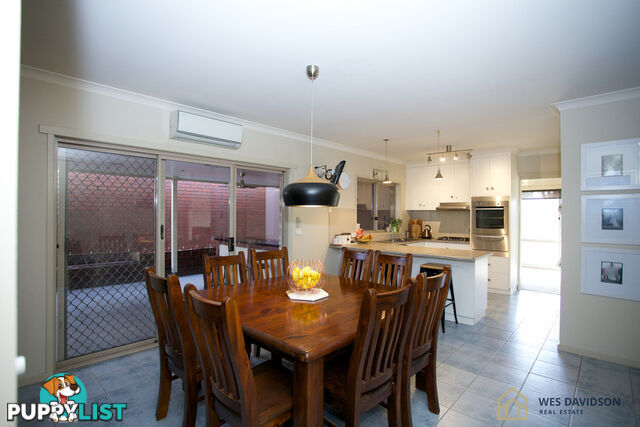 17 Colla Court HORSHAM VIC 3400