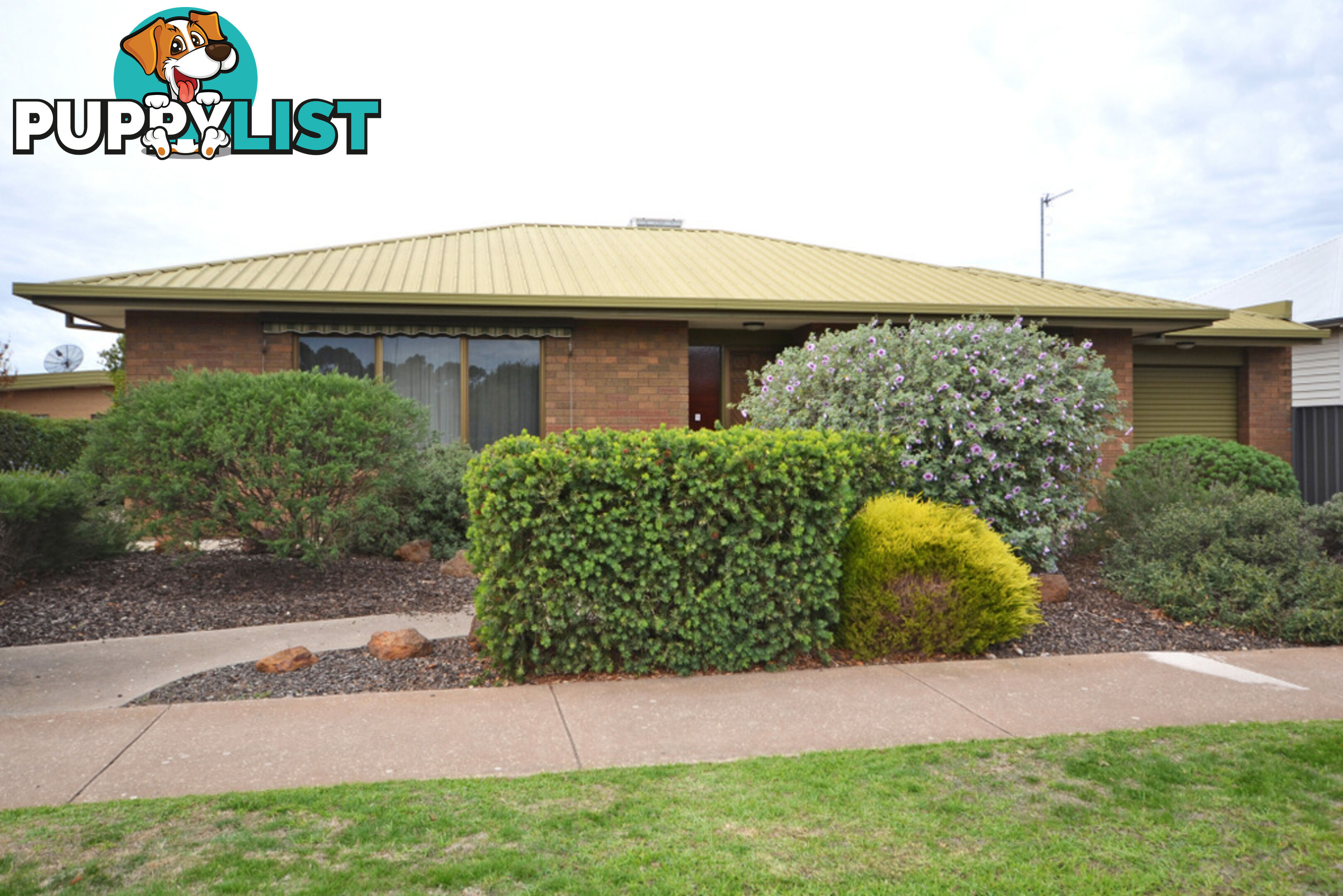 1 Gardenia Street HORSHAM VIC 3400