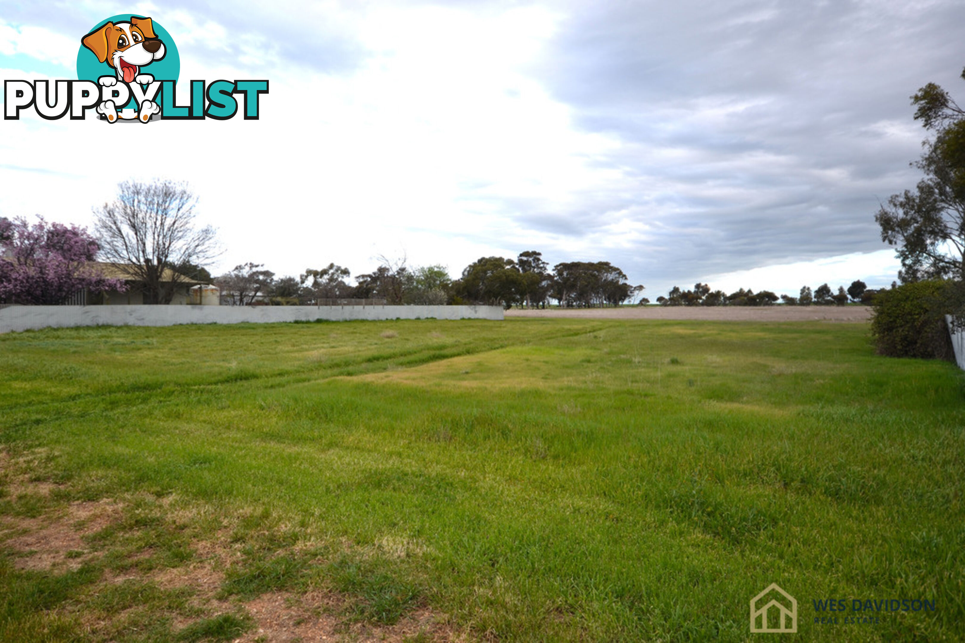 25a Munro Street MURTOA VIC 3390