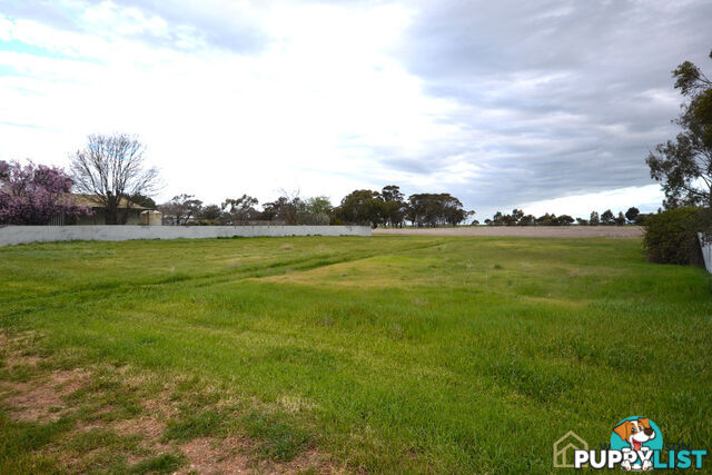 25a Munro Street MURTOA VIC 3390