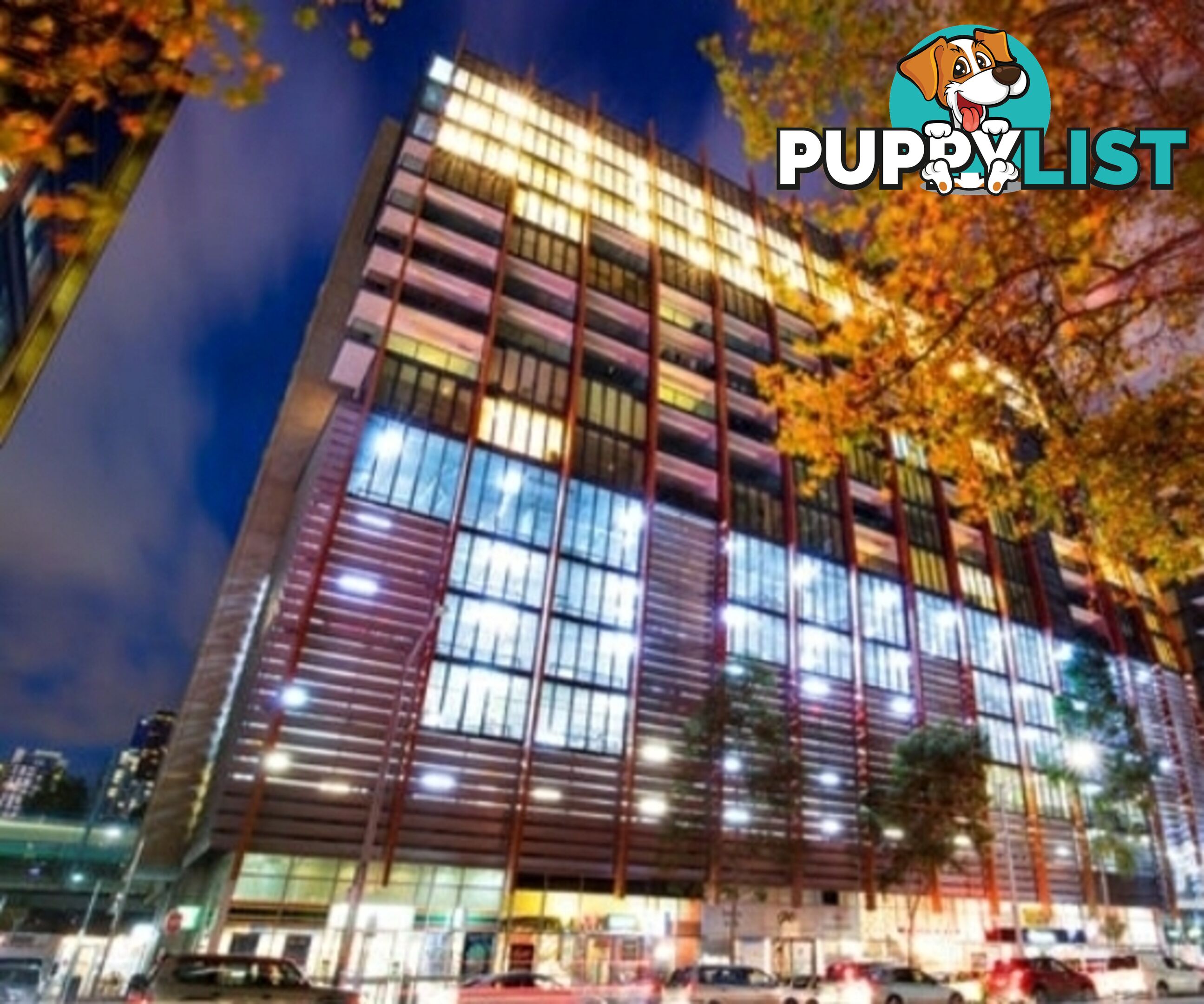 FULLY FURNISHED ONE BEDROOM CITY PAD