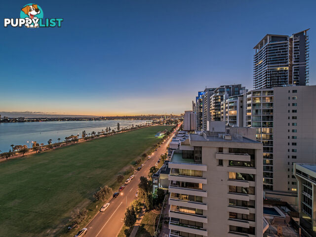 60 Terrace Road EAST PERTH WA 6004