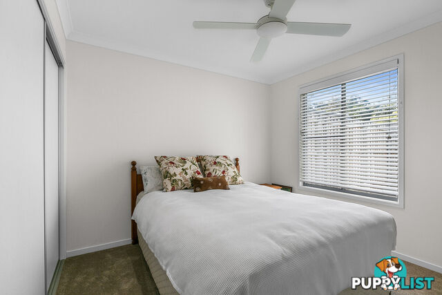 51 15 Rainforest Sanctuary Drive BUDERIM QLD 4556