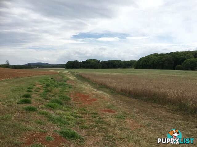 Lot 1 North Arm Yandina Creek Road NORTH ARM QLD 4561