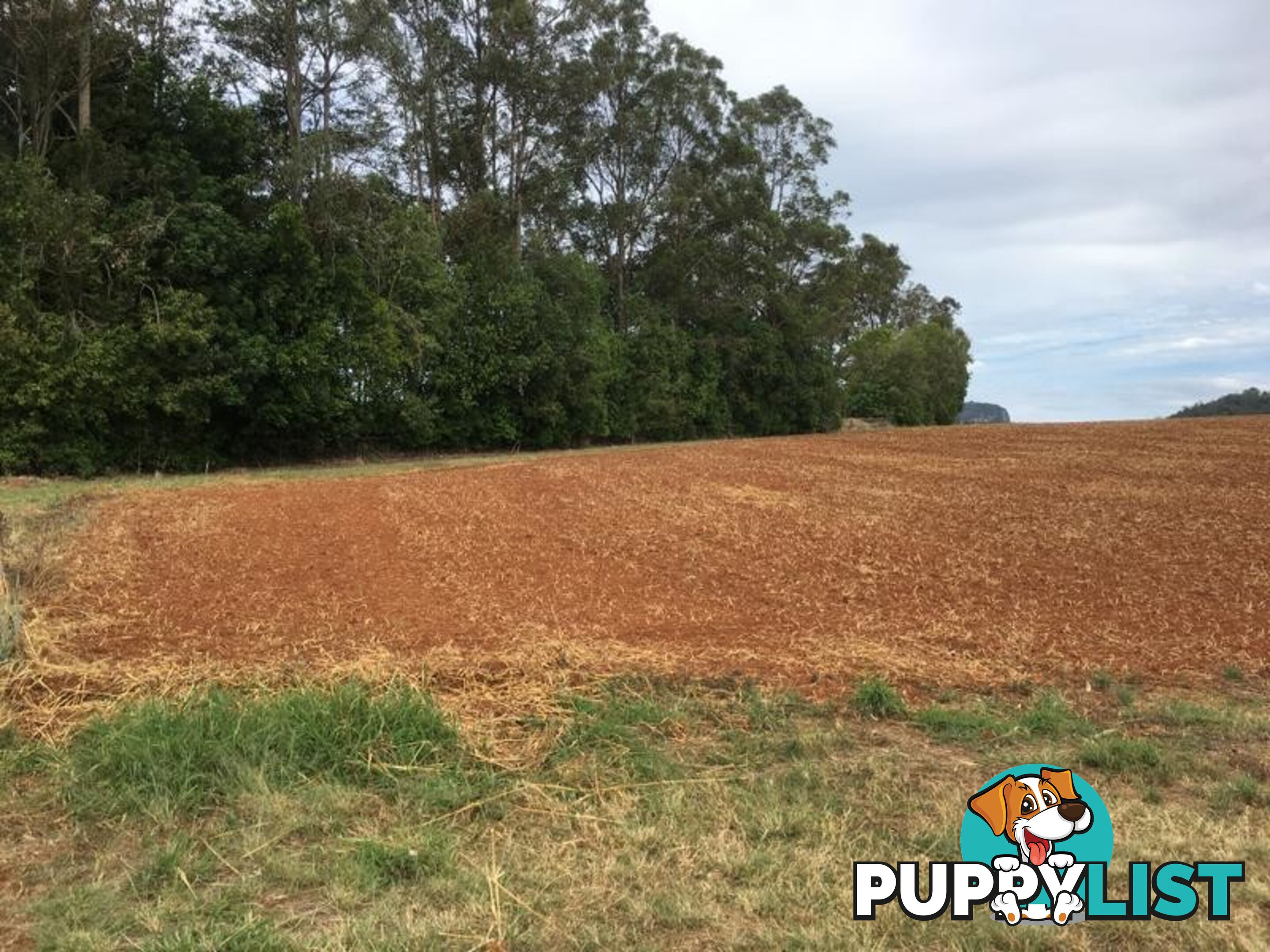 Lot 1 North Arm Yandina Creek Road NORTH ARM QLD 4561