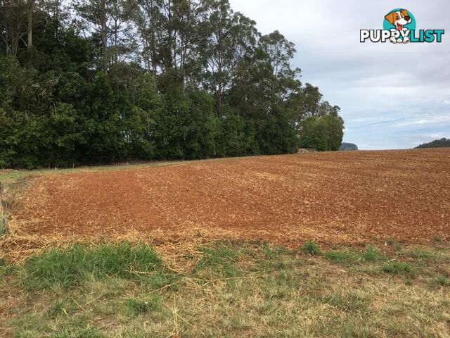 Lot 1 North Arm Yandina Creek Road NORTH ARM QLD 4561