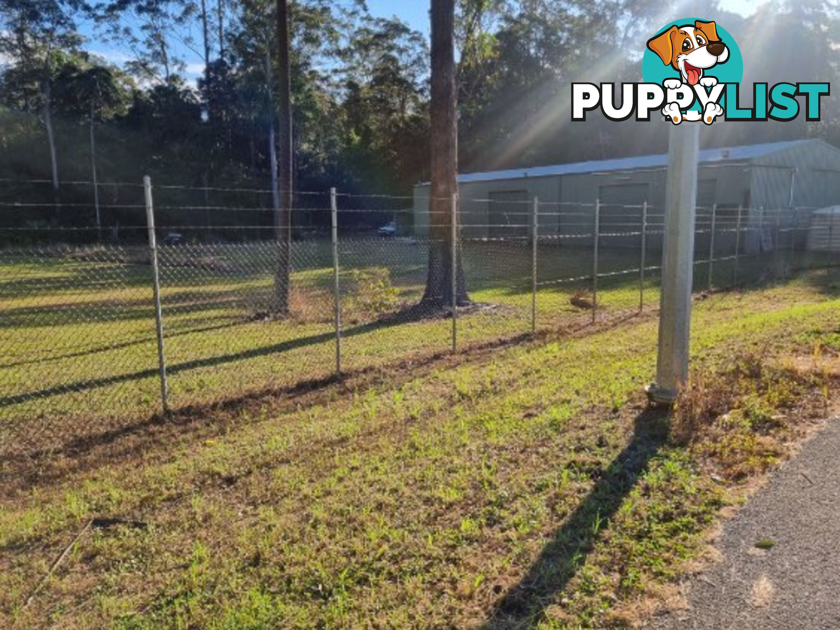12 Rainforest Road Chevallum QLD 4555