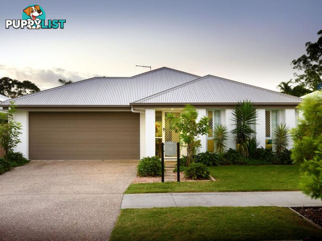 54 Spoonbill Drive FOREST GLEN QLD 4556