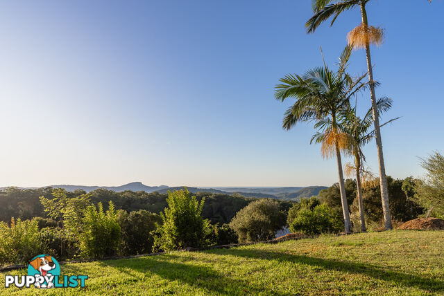 687 Cooloolabin Road Cooloolabin QLD 4560