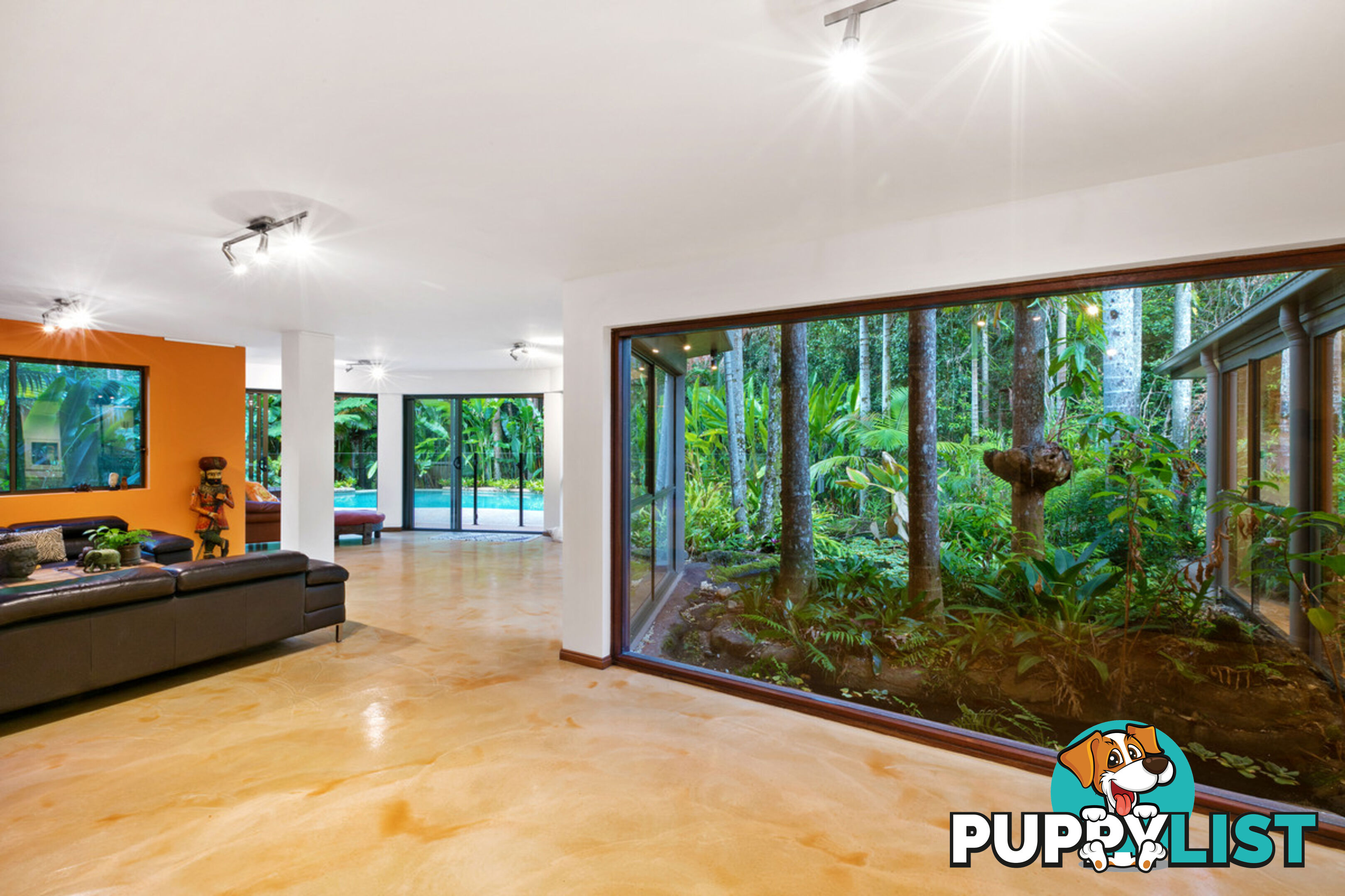 41 Anning Road Forest Glen QLD 4556