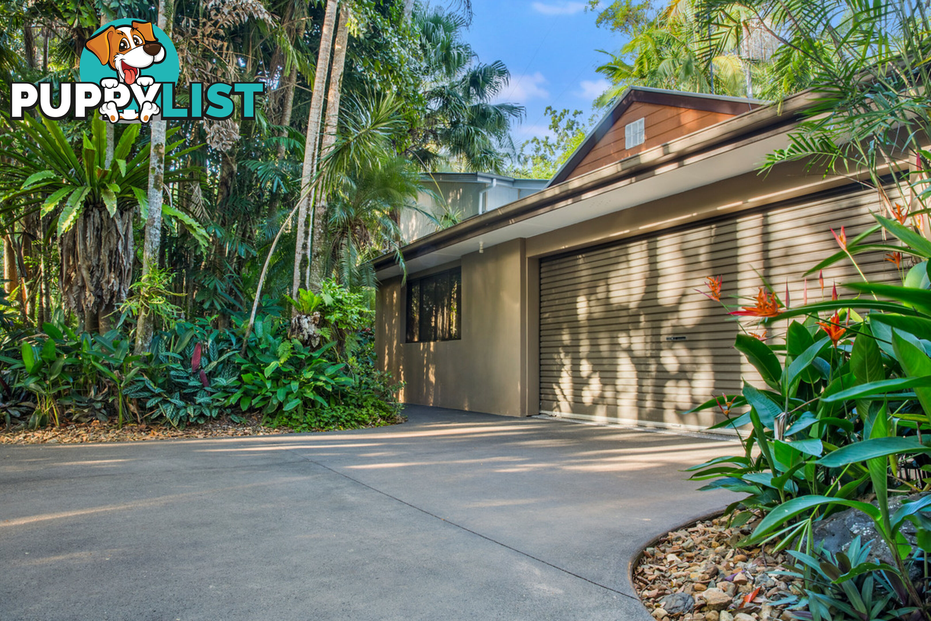 41 Anning Road Forest Glen QLD 4556