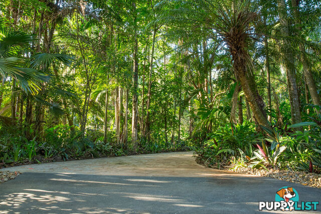 41 Anning Road Forest Glen QLD 4556