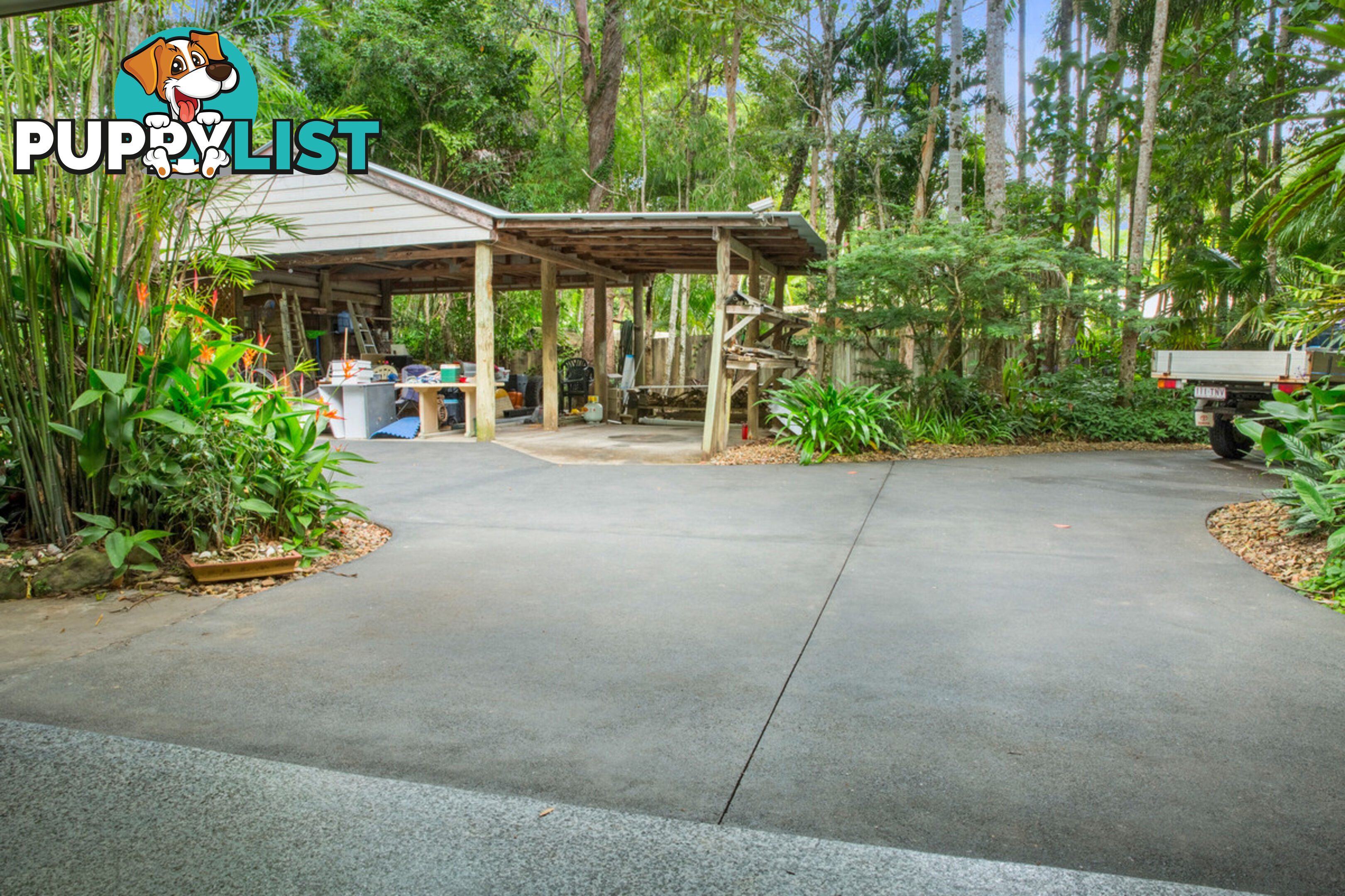 41 Anning Road Forest Glen QLD 4556