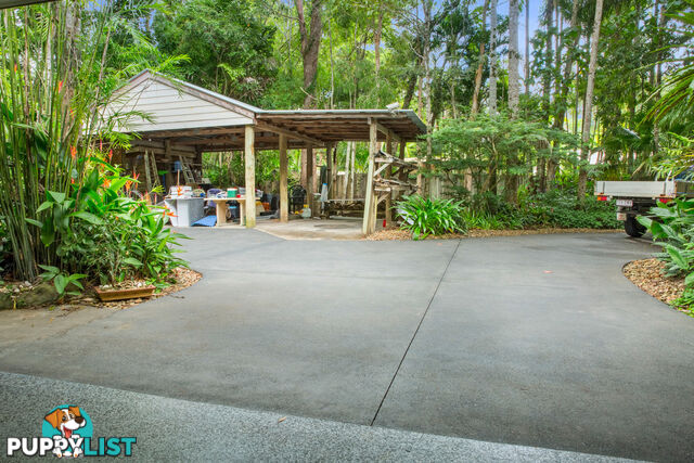 41 Anning Road Forest Glen QLD 4556