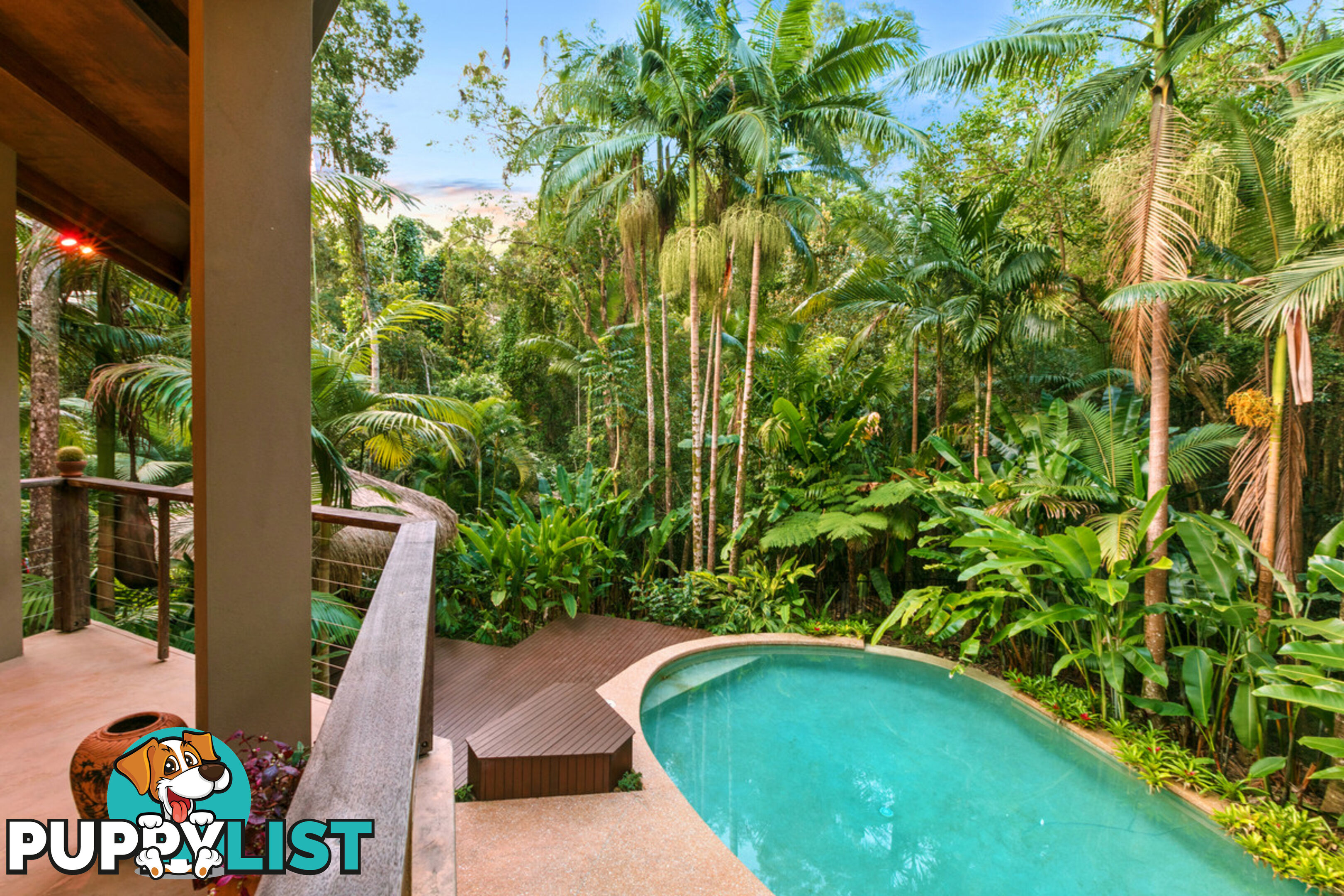 41 Anning Road Forest Glen QLD 4556