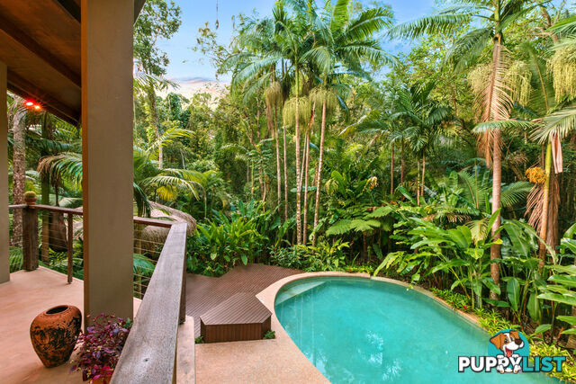 41 Anning Road Forest Glen QLD 4556