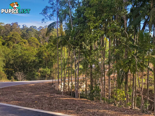 Anning Road 'Northridge' Forest Glen QLD 4556