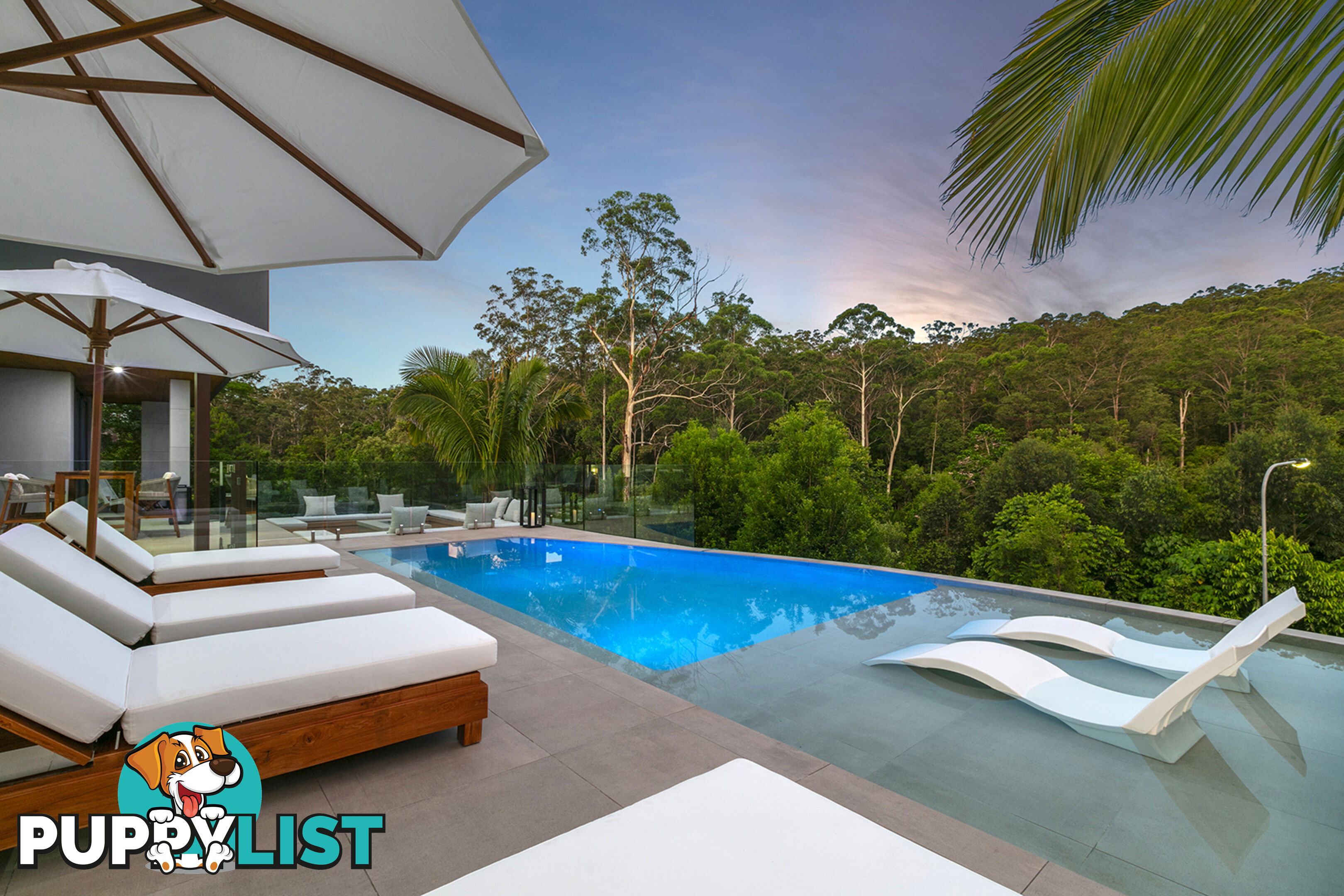 74 Anning Road Forest Glen QLD 4556