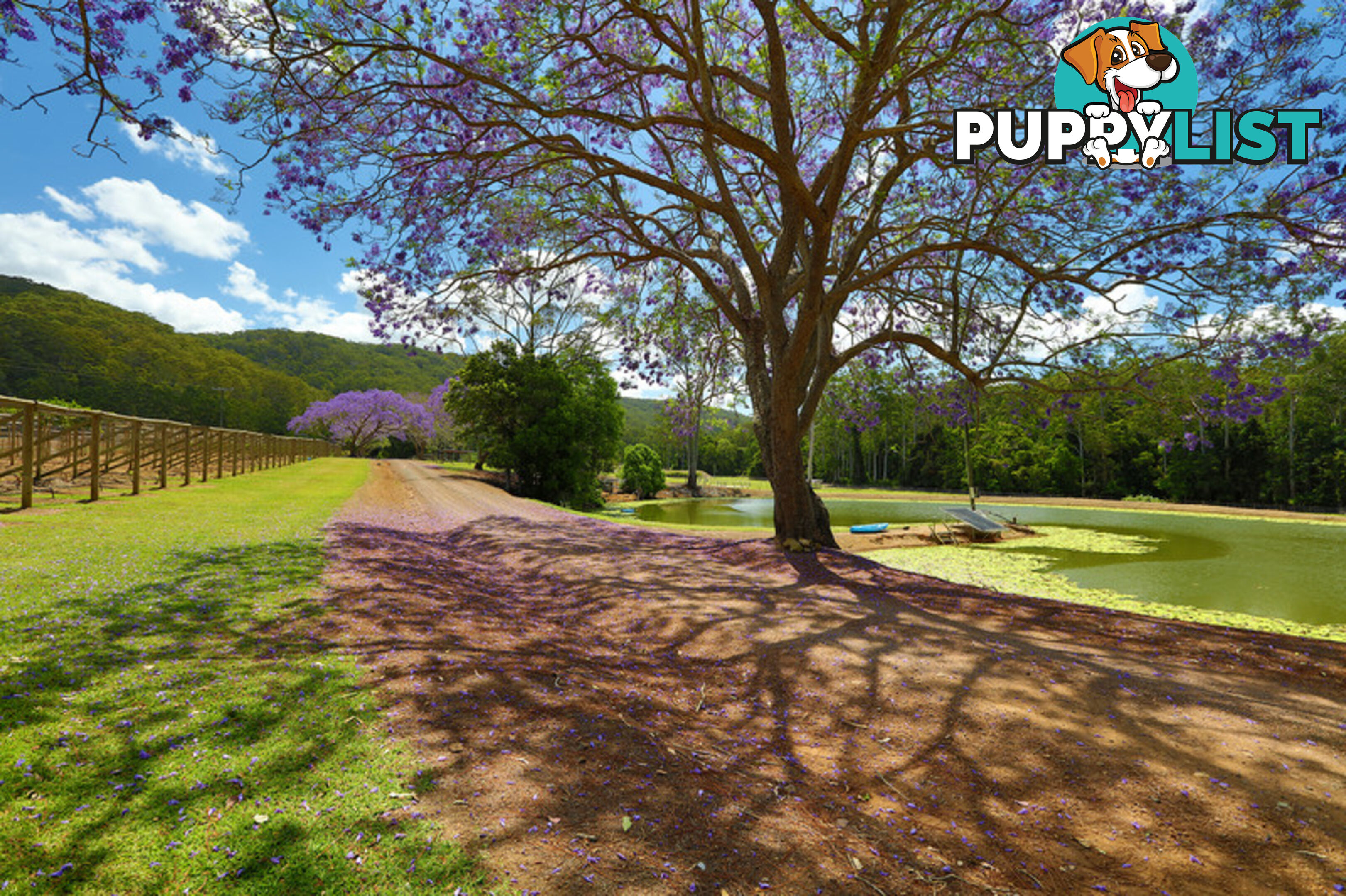 53 Shrapnel Road COOLOOLABIN QLD 4560