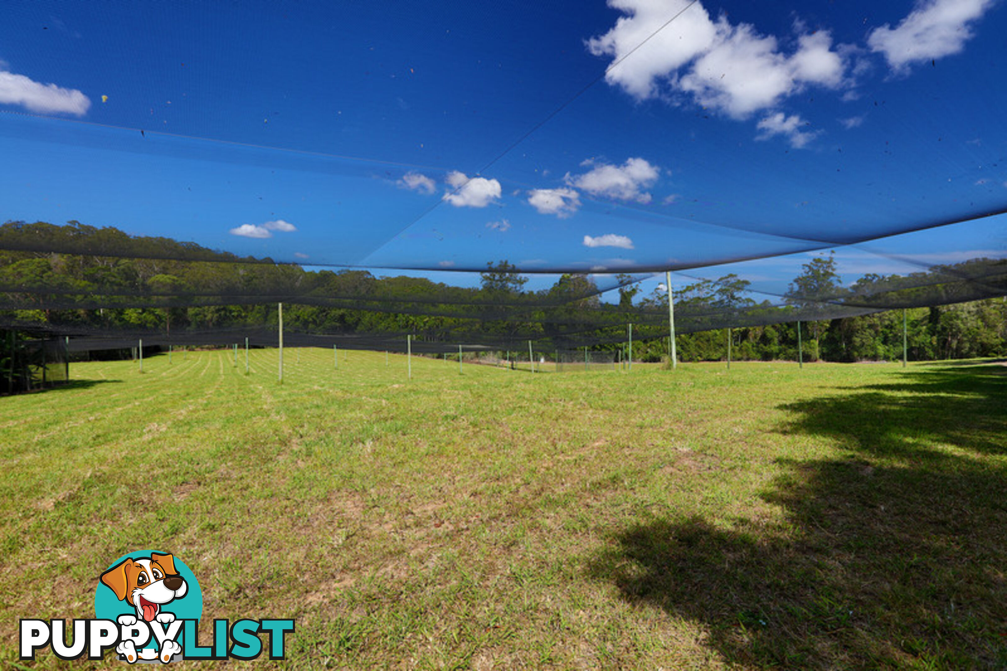 53 Shrapnel Road COOLOOLABIN QLD 4560