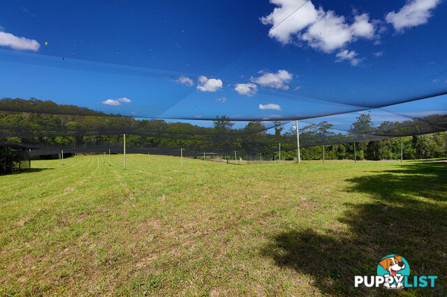 53 Shrapnel Road COOLOOLABIN QLD 4560