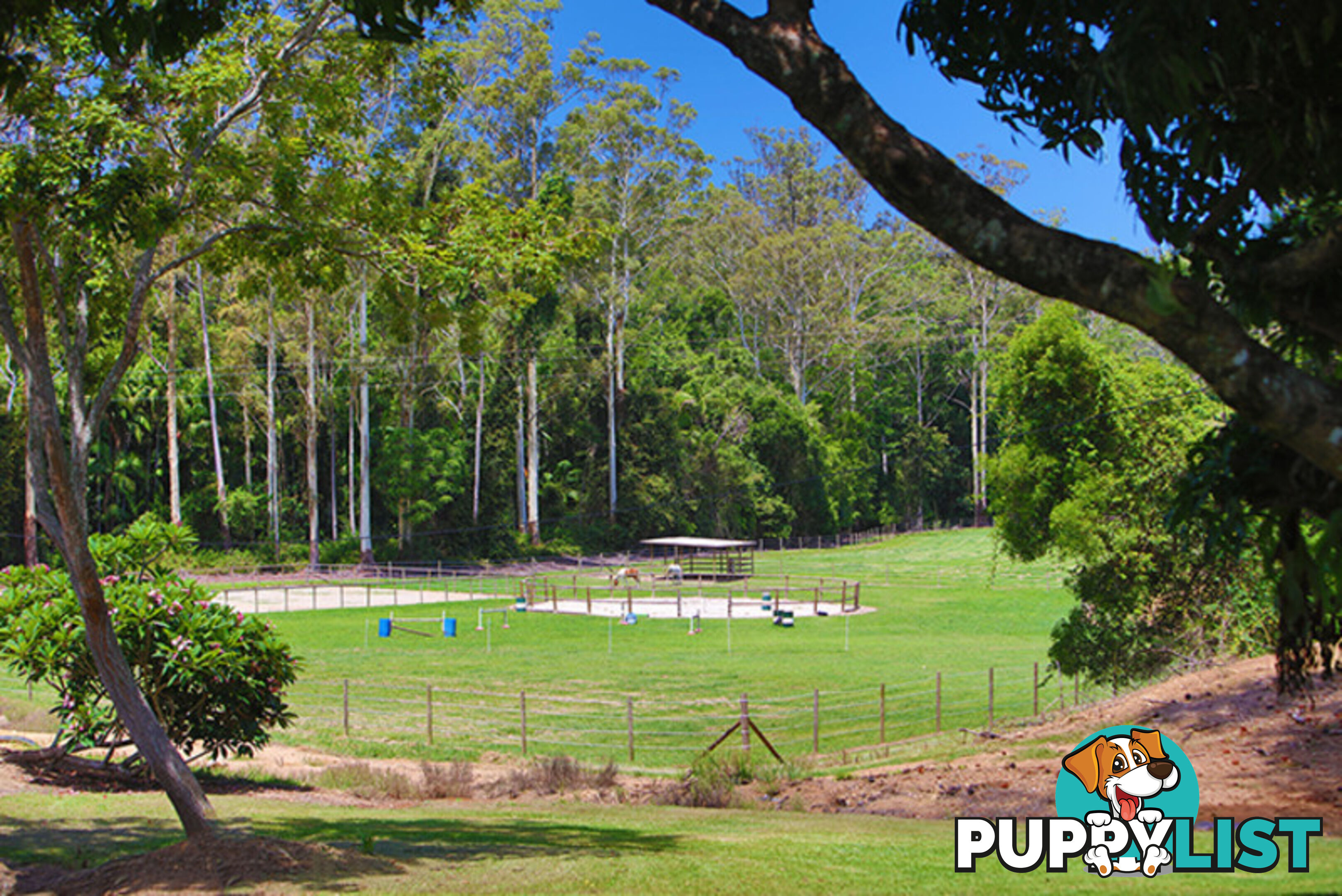 53 Shrapnel Road COOLOOLABIN QLD 4560