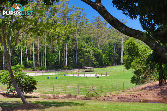 53 Shrapnel Road COOLOOLABIN QLD 4560