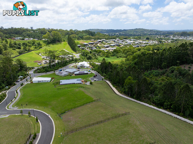 Lorikeet Place Burnside QLD 4560