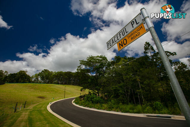 Lorikeet Place Burnside QLD 4560