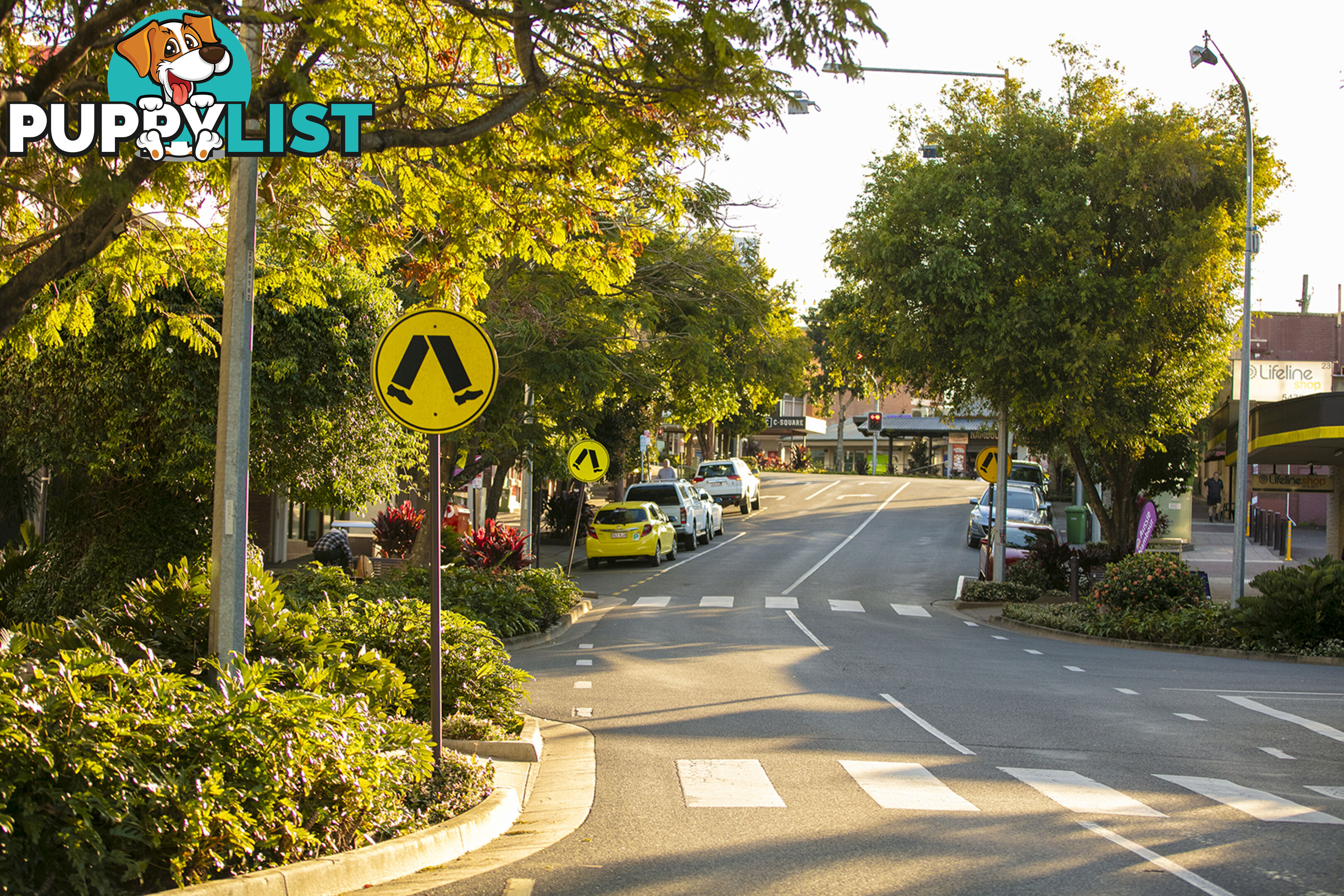 Lorikeet Place Burnside QLD 4560