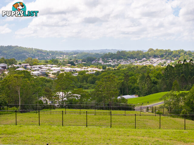 Lorikeet Place Burnside QLD 4560