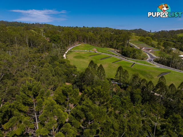 Lorikeet Place Burnside QLD 4560