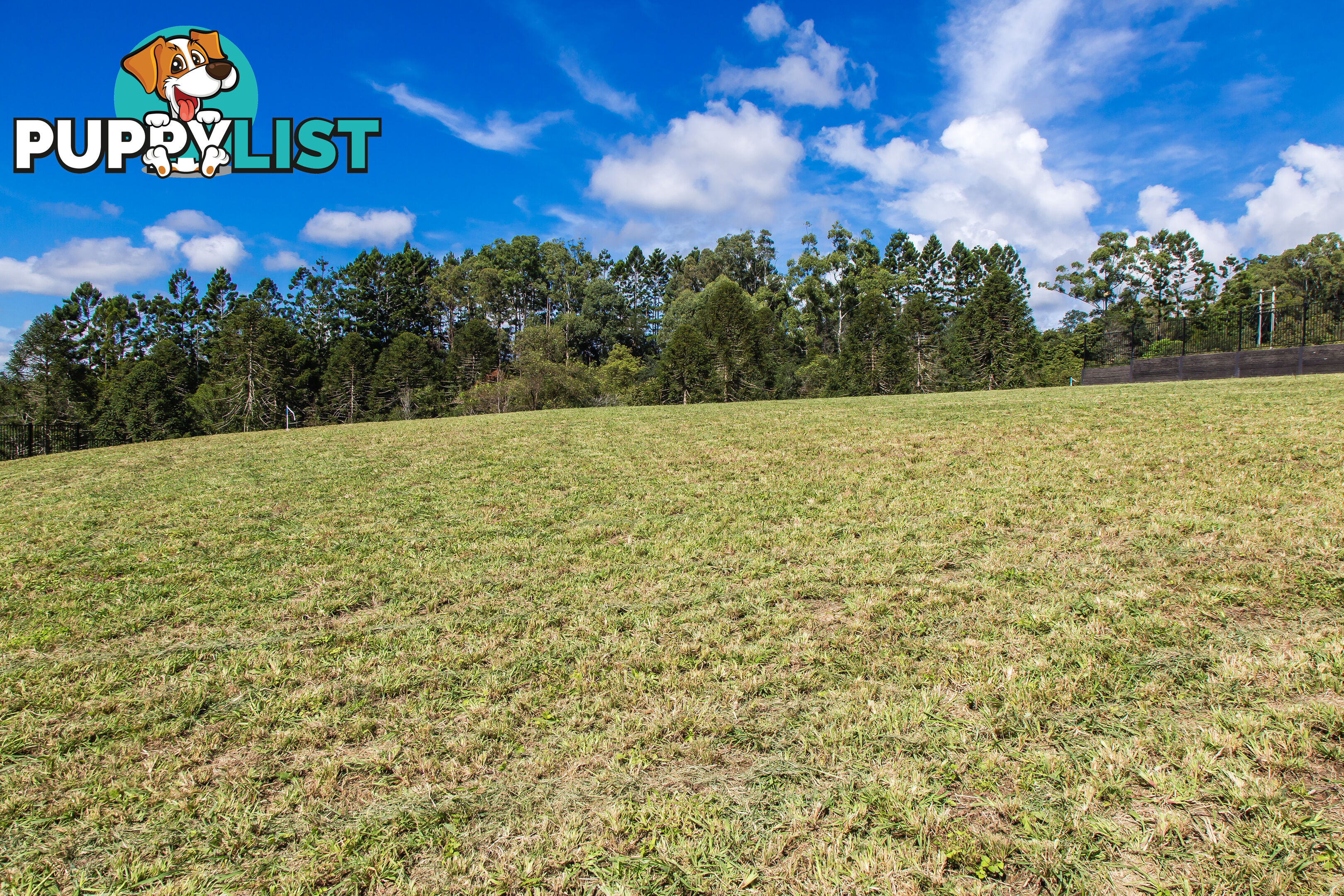 Lorikeet Place Burnside QLD 4560