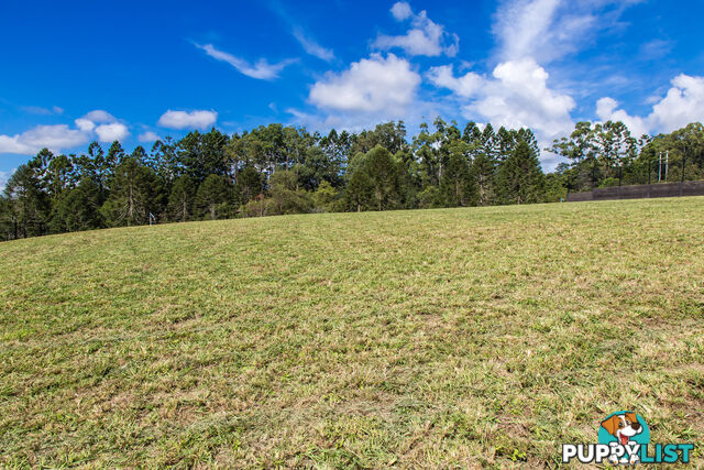 Lorikeet Place Burnside QLD 4560