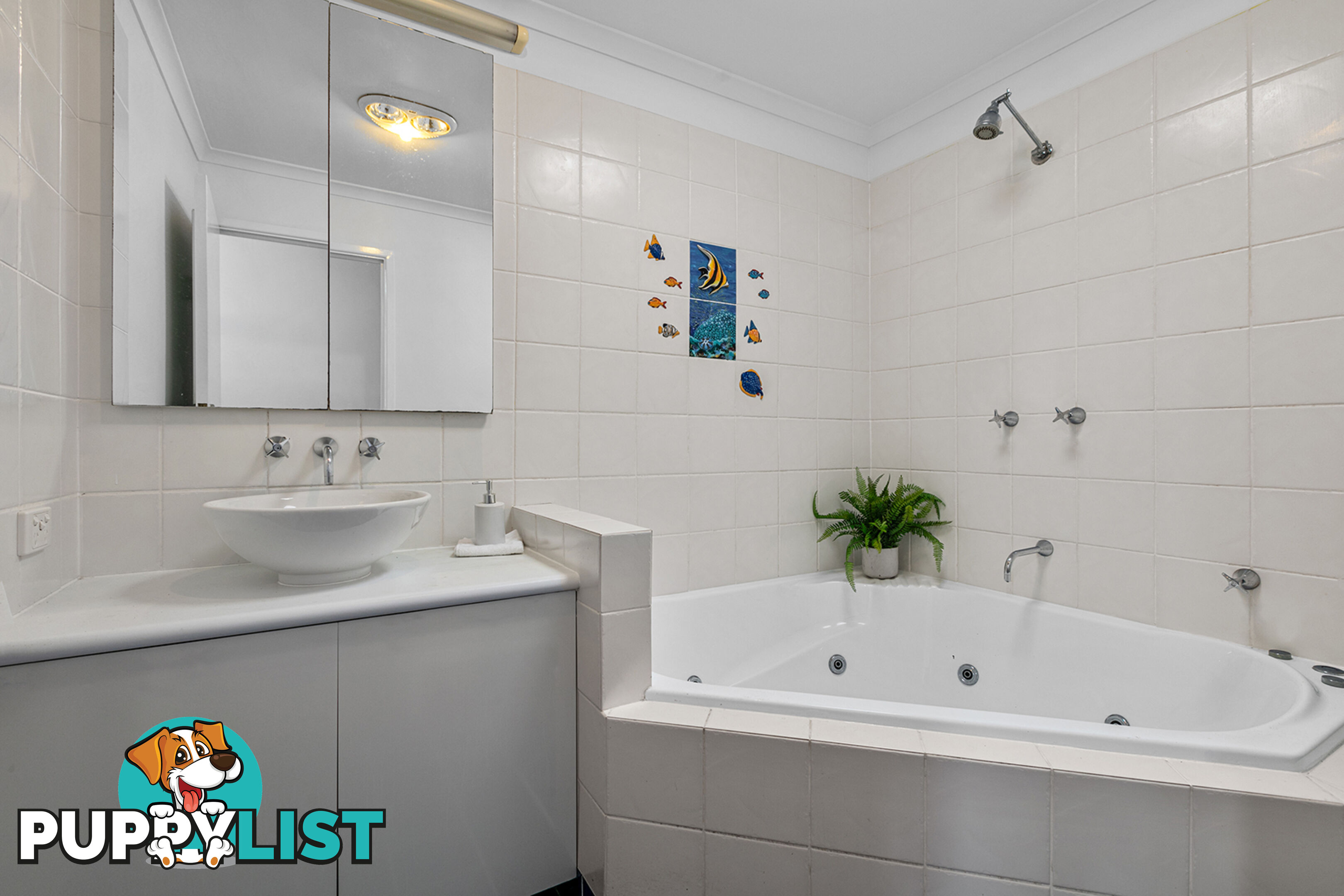 11 Bretz Street Buderim QLD 4556