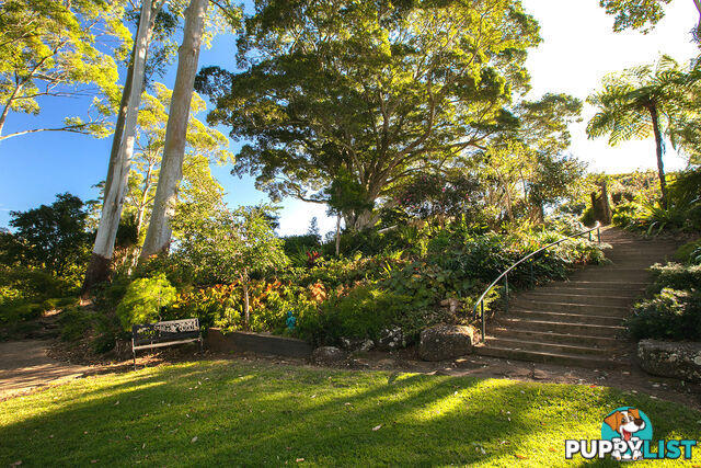 73a William Street Buderim QLD 4556