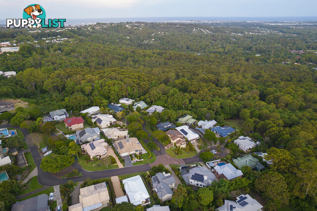 21 Saint Martins Terrace BUDERIM QLD 4556