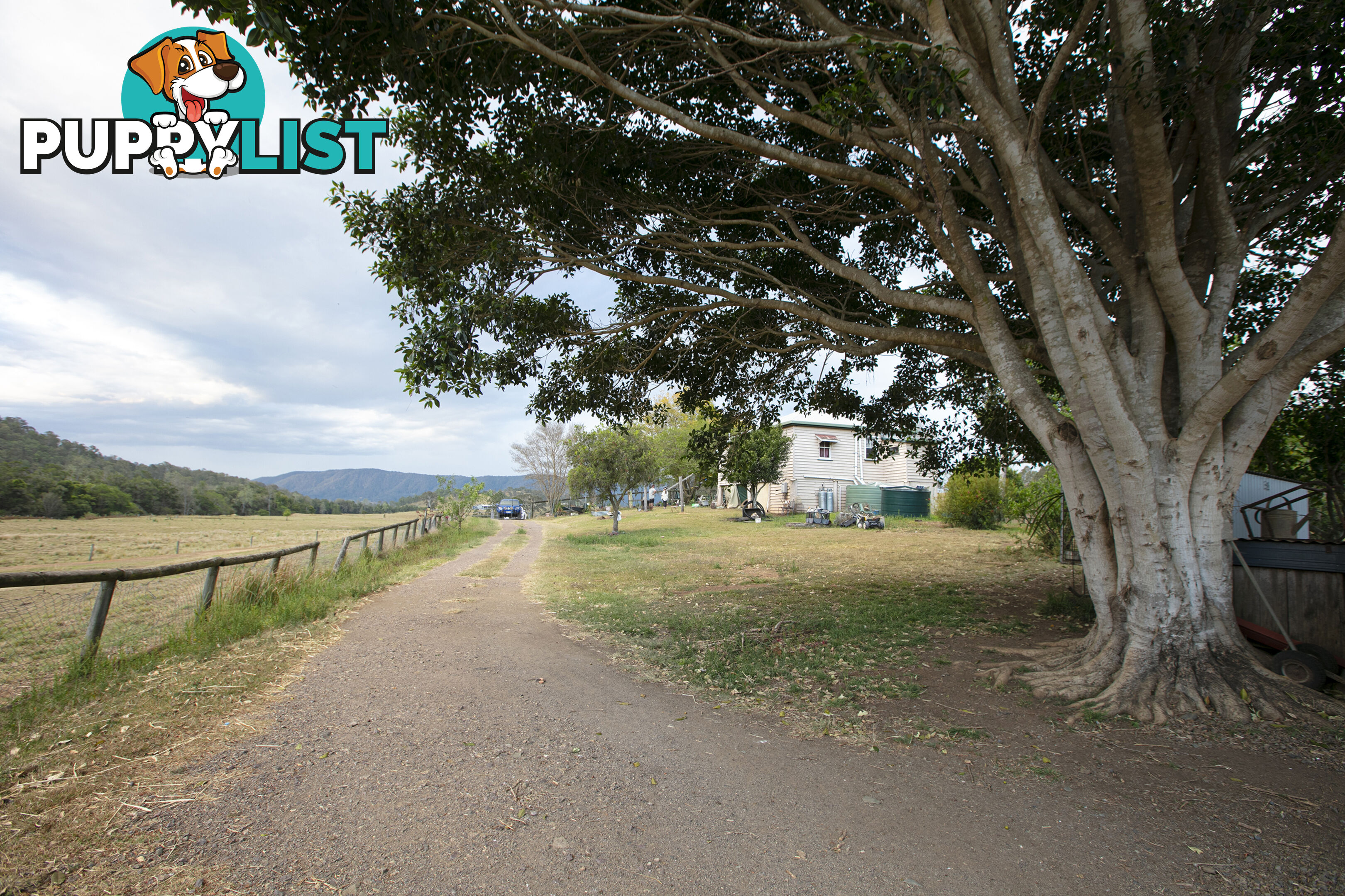 61 Dr Page Road Conondale QLD 4552